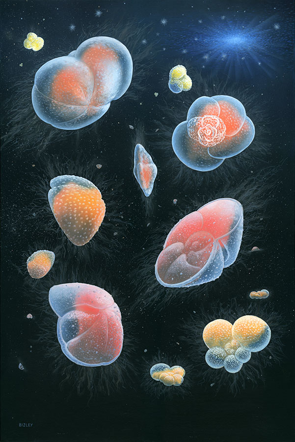 Foram-Painting